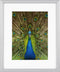 Goldbuch - Fotolijst Pino - Zilver - 13x18 cm (20x25 cm)