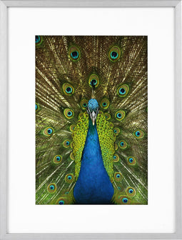 Goldbuch - Fotolijst Pino - Zilver - 20x30 cm (30x40 cm)