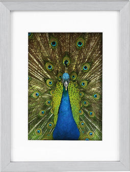 Goldbuch - Fotolijst Pino - Zilver - 9x13 cm (13x18 cm)