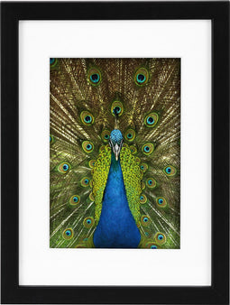 Goldbuch - Fotolijst Pino - Zwart - 10x15 cm (15x20 cm)