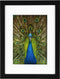 Goldbuch - Fotolijst Pino - Zwart - 10x15 cm (15x20 cm)