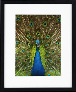 Goldbuch - Fotolijst Pino - Zwart - 13x18 cm (20x25 cm)
