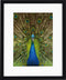 Goldbuch - Fotolijst Pino - Zwart - 13x18 cm (20x25 cm)