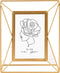 Goldbuch - Fotolijst Saluzzo - Goud - 10x15 cm