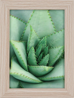 Goldbuch - Fotolijst Toscana - Taupe - 10x15 cm