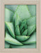 Goldbuch - Fotolijst Toscana - Taupe - 13x18 cm