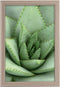Goldbuch - Fotolijst Toscana - Taupe - 20x30 cm