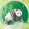 GOLDBUCH GOL-44743 TURNOWSKY dagboek THE PANDA met slot