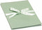 Goldbuch - Leporello Natuurliefde - Eucalyptus