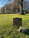Goldstream Vuurkorf Cortenstaal