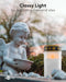 Goobay LED grave light, white - with a realistic flickering effect, warm white (2700 K), battery ope