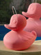 Goodnight Light - Duck Duck XL - roze - kleurveranderende waterproof LED drijvende lamp