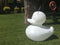 Goodnight Light Lamp Eend Duck Duck XL - wit - colour changing