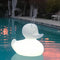Goodnight Light The DUCK-DUCK Small Lamp - White