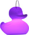 Goodnight Light The DUCK-DUCK Small Lamp - White