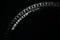Goodyear - Wrangler MTR Enduro TLC 29x2.4