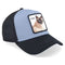 Goorin Bros Cool Cat V2 Slate Cap