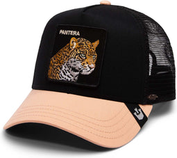 Goorin Bros. Pet BIG CATS Een maat