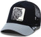 Goorin Bros. Pet BIG CATS Een maat