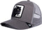 Goorin Bros - The Panther Grey Cap