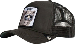 Goorin Brothers The Bandit Pet