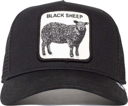 Goorin Brothers The Black Sheep Pet?