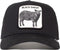 Goorin Brothers The Black Sheep Pet?
