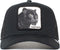 Goorin Brothers The Panther Pet