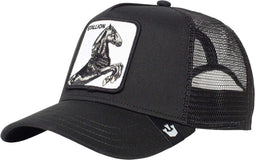 Goorin Brothers The Stallion Pet?