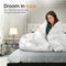 Goozzy® dons dekbed - 100% donzen dekbed – All year enkel - premium - 200x200 cm