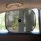 Gordijn voor auto BC Corona INT40115 (44 x 36 cm)(2 pcs)