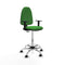 Piqueras y Crespo B1D05RP - Bureaustoel - Hoogteverstelbaar met armleuning - Groen