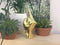 Gouden middelvinger beeldje - Bitten Design