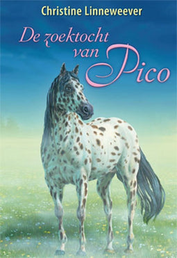 Gouden paarden - De zoektocht van Pico