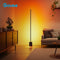 Govee Floor Lamp 2