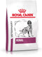 Royal Canin Veterinary Diet Renal - Hondenvoer - 2 kg
