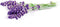 Rubson Sensation Navullingen Lavendel 2x 300 g Box | 2 Navullingen voor vochtopname | Rubson Sensation Navullingen s.