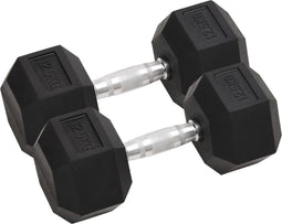 vidaXL - Halters - 2 - st - 25 - kg - gietijzer