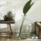 Eco Glas Fles vaas (Hoogte 55 Diameter 45/13 CM)