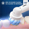 Oral-B Pro Junior - Elektrische tandenborstel - 3 poetsstanden - Frozen (2 stuks)