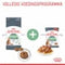 Royal Canin Digestive Care - Kattenvoer - 4 kg