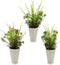 Decoratieve plant Bloem Plastic 12 x 30 x 12 cm (12 Stuks)