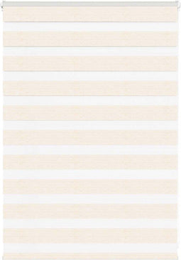 vidaXL - Zebra - rolgordijn - 100x100 - cm - stofbreedte - 95,9 - cm - marmerbeige