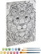 Grafix Schilderen Op Nummer Leeuw Canvas 30x40 cm