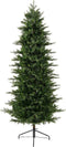 Grandis slim fir 1149tips green