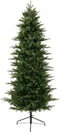 Grandis slim fir 1149tips green