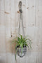 Graslelie in hangende pot beige/grijs