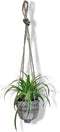 Graslelie in hangende pot beige/grijs