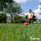Graszaad Speelgazon Snelkiemend (1kg, 50m2) Organifer - Gazonzaad - Speelgazon Graszaad - Graszaden - Gras Zaad - Graszaad Sportgazon en Speelgazon - Zelfherstellend - Hoge Betredingstolerantie - NAK Gecertificeerd
