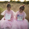 Great Pretenders Verkleden Gezicht Stickers Butterfly Fairy